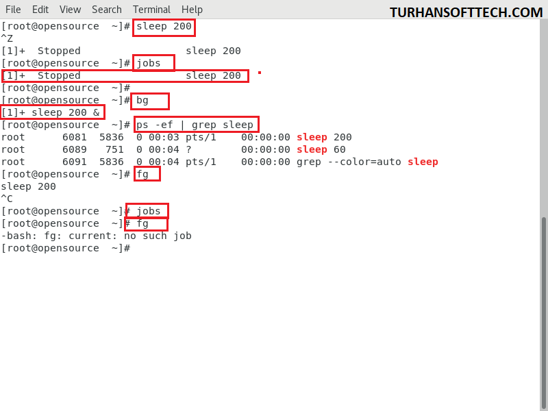 Process and Jobs in Linux