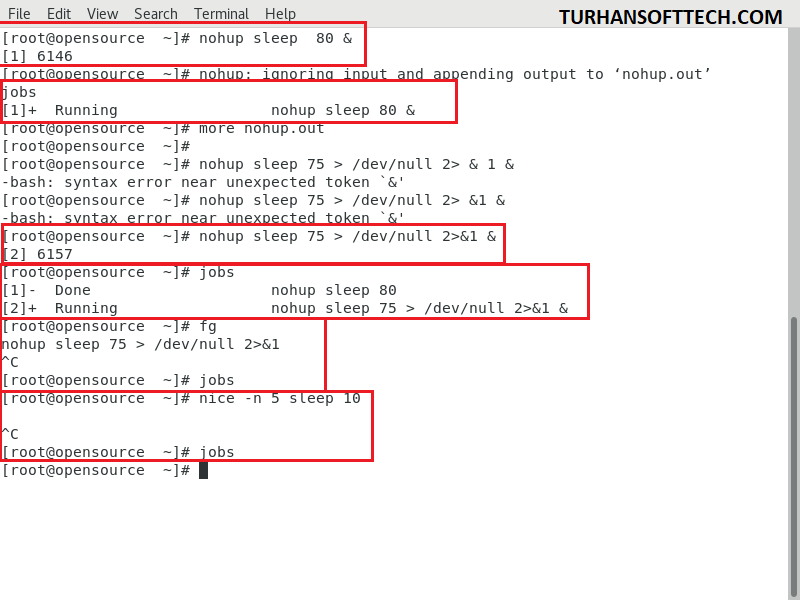 Processes and Jobs in Linux
