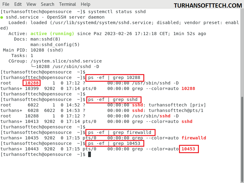 ps linux command